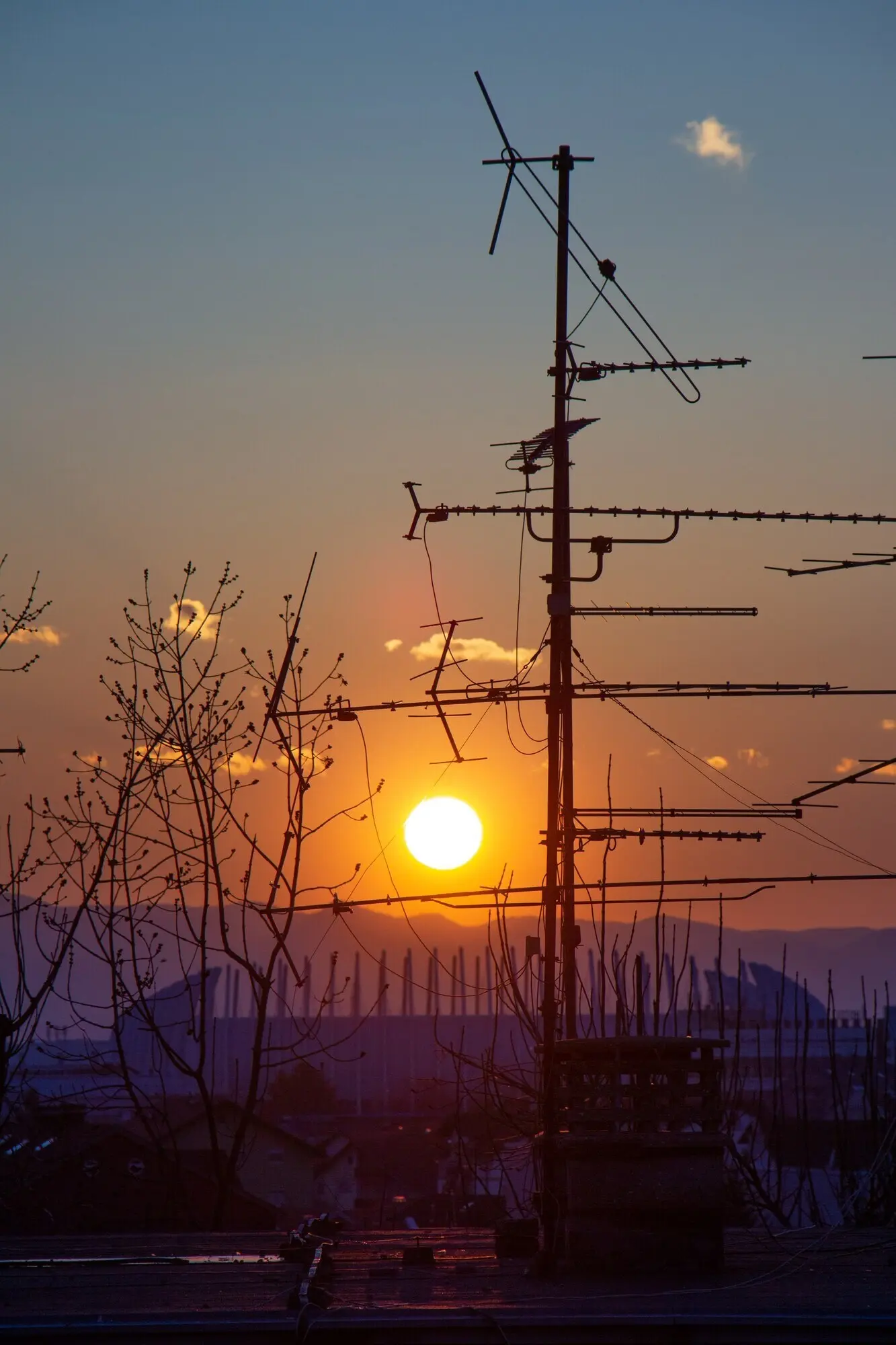 Bild der Silhouetten eines Baums und einer Fernsehantenne auf dem Dach während des Sonnenuntergangs in Zagreb in Kroatien.